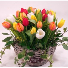 Rainbow tulip basket XL